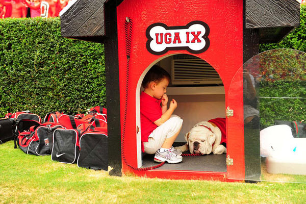 dawg house uga dawg house uga